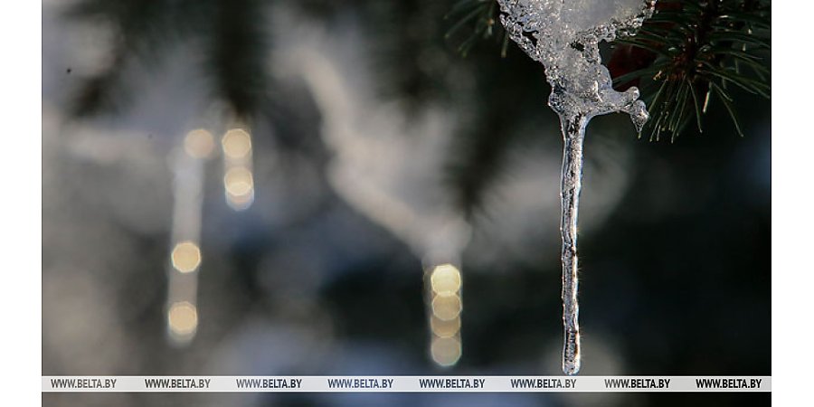 Где сегодня в Беларуси потеплеет до +10°С, рассказали синоптики