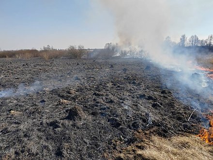 В Вороновском районе горела сухая растительность 