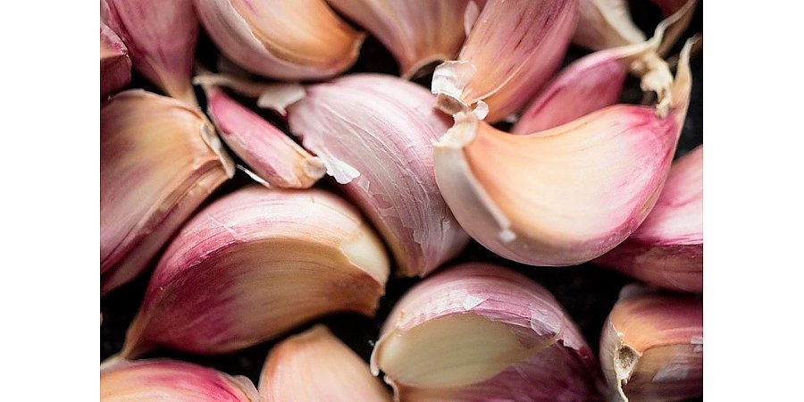 Ужасные ошибки при посадке чеснока – вот поэтому и нет урожая