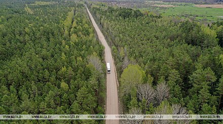 В Беларуси легализуют "параллельный импорт"