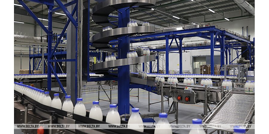 Производство сельхозпродукции в Беларуси в январе-мае увеличилось на 4,3%