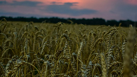 Народные приметы на 19 июня: что можно и нельзя делать в этот день