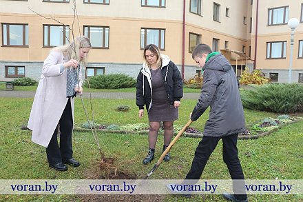 На территории Вороновской школы учащиеся заложили аллею «Вместе — мы едины!»