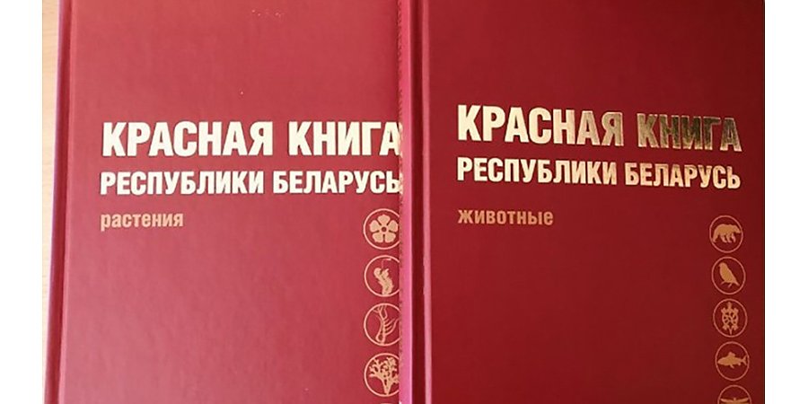 В Красную книгу Беларуси добавлены 13 видов животных и 5 видов растений