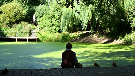 Народные приметы на 24 июня: что можно и нельзя делать в этот день