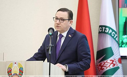 Будут ли в Беларуси вводить возрастные ограничения на соцсети, рассказал Владимир Перцов
