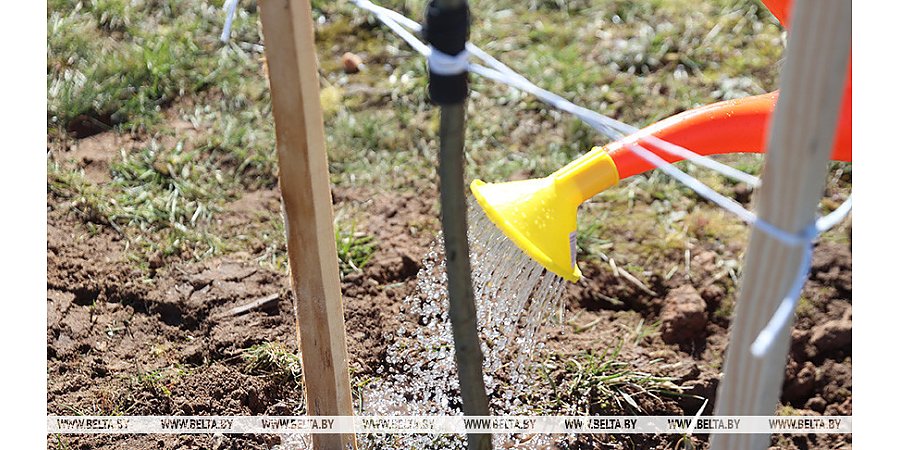 Итоги Года благоустройства. По каким направлениям КГК контролировал работу в стране?