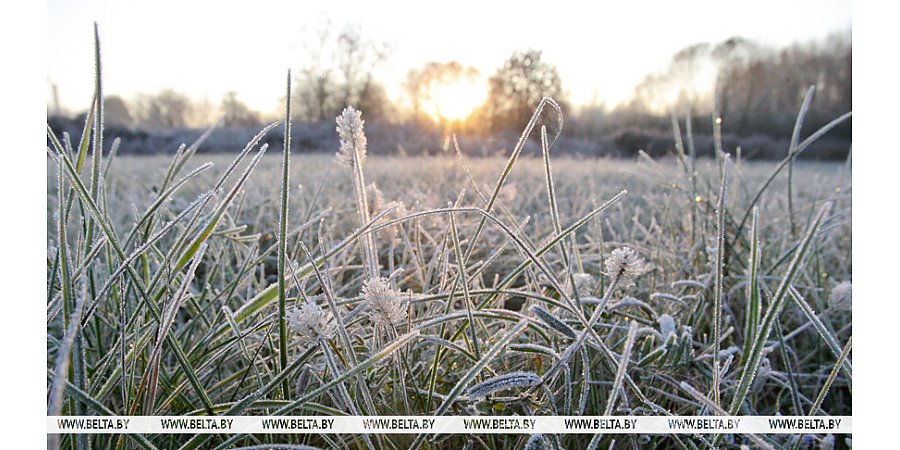 Сильный ветер и заморозки ожидаются 27 апреля в Беларуси