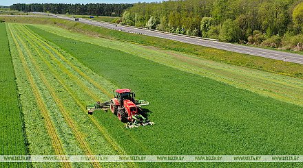 Аграрии Беларуси заготовили почти 30% сенажа