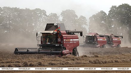Аграрии Беларуси намолотили свыше 9 млн тонн зерна