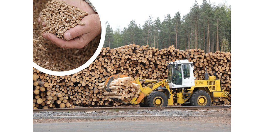 Хозяйский подход во всем. Почему Беларуси важно развивать деревообработку и производство пеллет