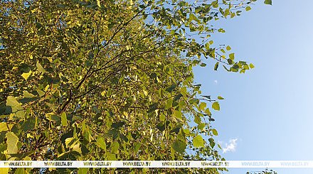 По-летнему теплая погода будет сегодня в Беларуси