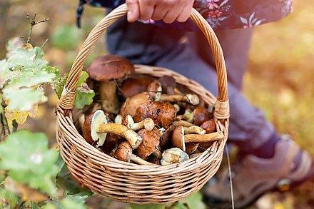 Как не стать жертвой «тихой охоты»?