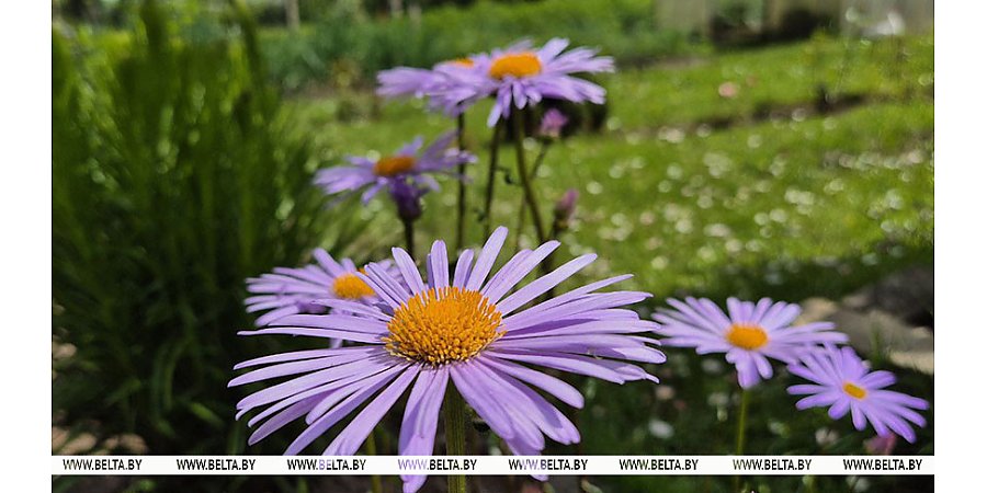 Тепло и дождливо будет сегодня в Беларуси