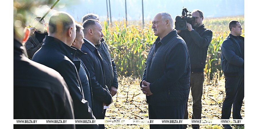 Что делать с "горами" вокруг Солигорска? Александр Лукашенко ознакомился с экспериментом по повышению плодородия почв 