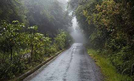Оранжевый уровень опасности из-за сильных дождей и гроз объявлен в Беларуси на 23 мая