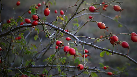Народные приметы на 1 октября: что можно и нельзя делать в этот день