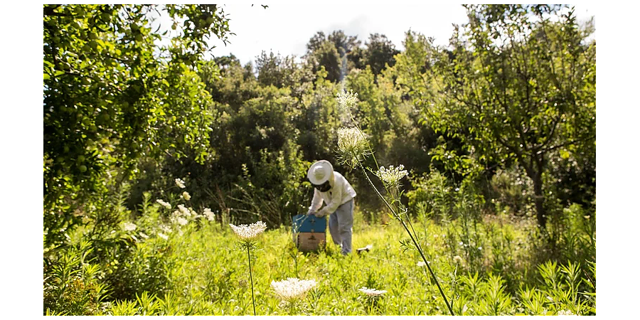 Народные приметы на 14 августа: что можно и нельзя делать в этот день