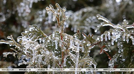 Спасатели предупредили о факторах опасности при гололеде
