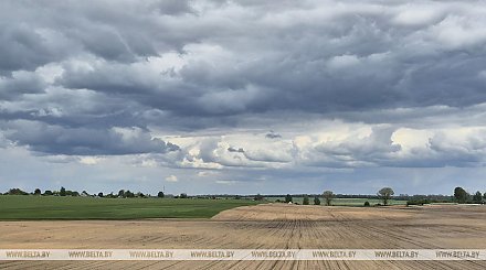 Ночные заморозки? Какой будет погода в Беларуси 19 мая