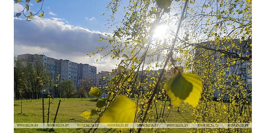Снова дождь и мокрый снег? Какой будет погода 28 апреля в Беларуси, рассказали в Белгидромете
