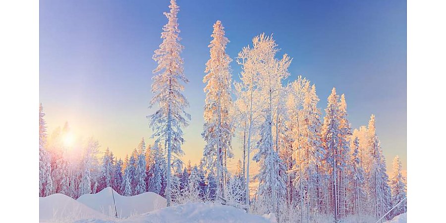 От -5°С до +7°С по стране. Какие колебания температуры ждут белорусов 9 января