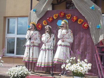 «Чарнічны фэст» прошел в аг. Больтишки Вороновского района