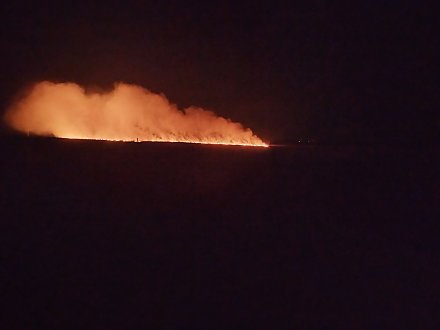 В Вороновском районе первый пал сухой растительности