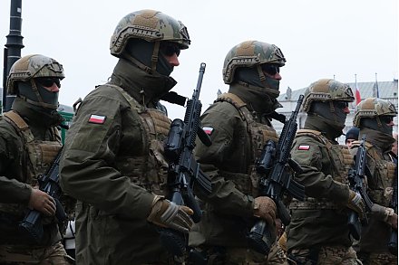 В Польше заявили о желании увеличить численность своей армии до 500 тыс. человек