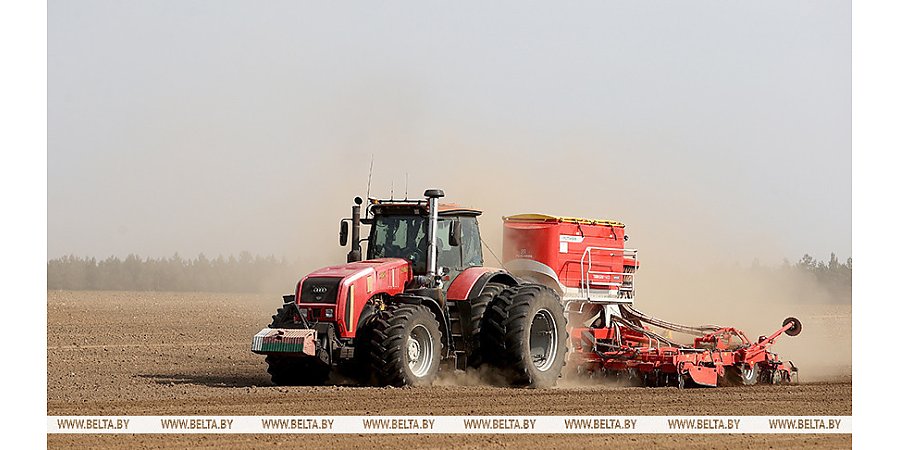 В Беларуси завершили сев сахарной свеклы