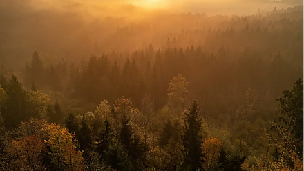 Народный календарь на 28 июня: что можно и нельзя делать, приметы и праздники