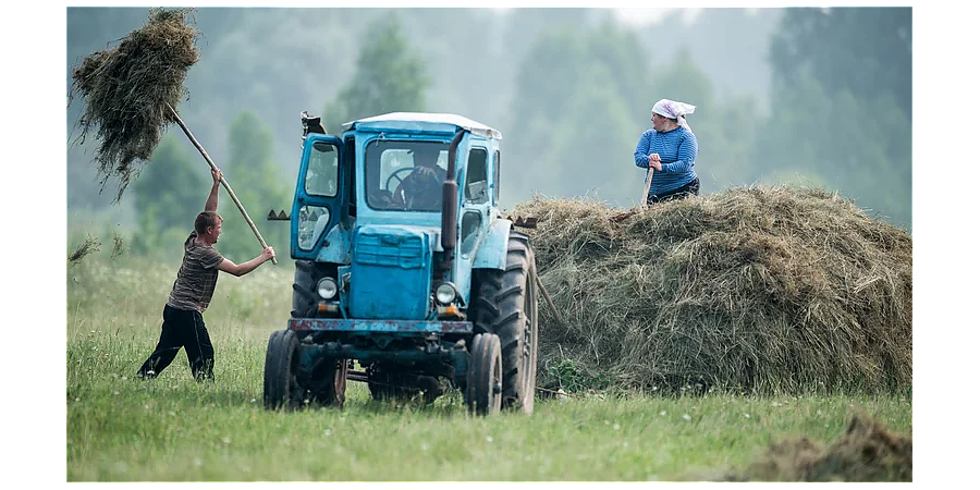 Народные приметы на 10 июля: что можно и нельзя делать в этот день