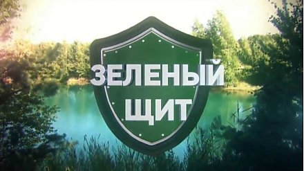 Профилактическое мероприятие «Зелёный щит» пройдет в Вороновском районе