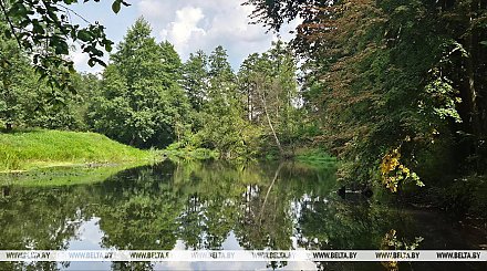 До +23°С, переменная облачность будет сегодня в Беларуси
