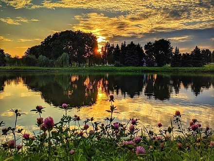 Народный календарь на 2 июля: что можно и нельзя делать в этот день