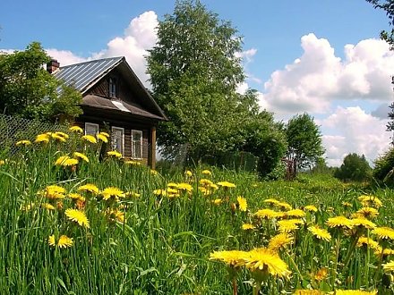 В Беларуси платят за переезд в деревню: кому и сколько?