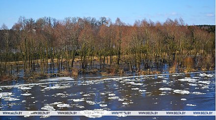 Малооблачно и без осадков. Чем порадует погода 16 марта, рассказали синоптики