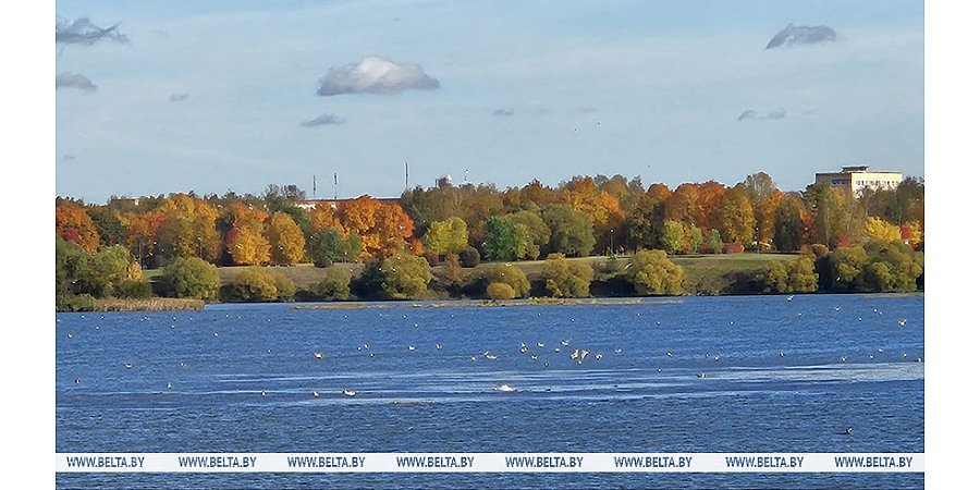 До +14°С ожидается сегодня в Беларуси