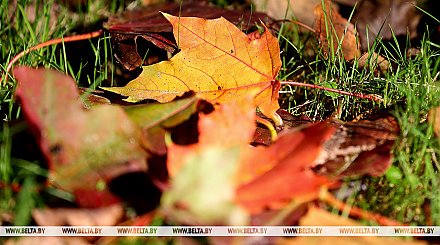 Облачно и без осадков будет сегодня в Беларуси