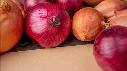 Народные приметы на 20 сентября: что можно и нельзя делать в этот день