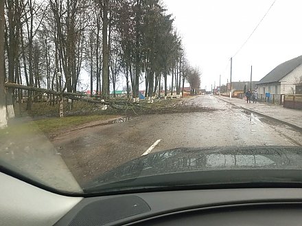 Штормовое предупреждение красного уровня объявлено в Беларуси. Спасатели призывают быть острожными!