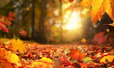 Народные приметы на 15 сентября 2025 года: что можно и нельзя делать в этот день