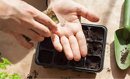 Посевной лунный календарь на 2026 год