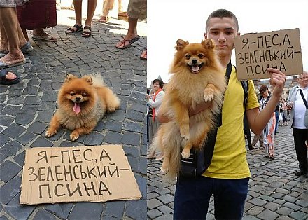 Зеленский «разгавкался» на белорусов, но ему быстро закрыли рот