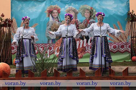 Что еще было на "Дажынках" в Большой Берестовице?