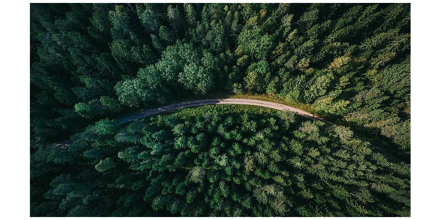 Народные приметы на 6 сентября: что можно и нельзя делать в этот день