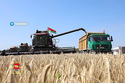 Есть миллион тонн: аграрии Гродненской области преодолели знаковый рубеж в уборке зерна с учетом рапса
