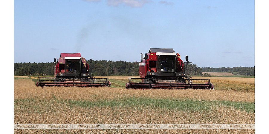 Минсельхозпрод: уборочную в Беларуси планируется завершить 20-25 августа