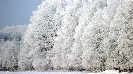 До -16°С и без осадков. Какой будет погода в Беларуси сегодня