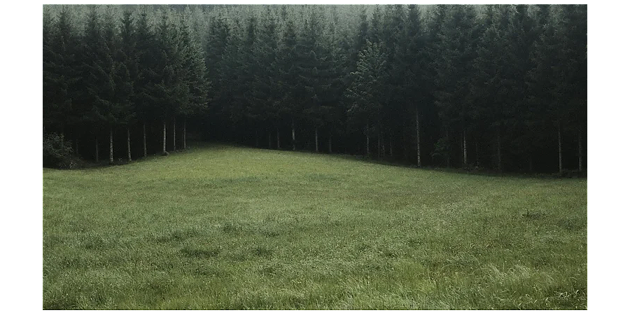 Народные приметы на 26 августа: что можно и нельзя делать в этот день